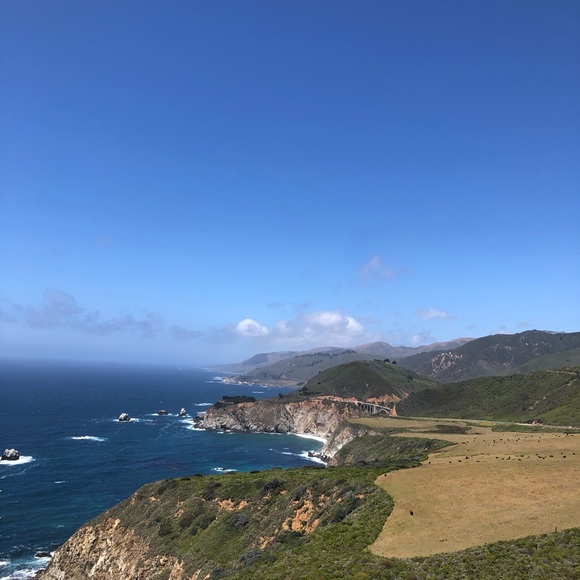 Meet your Posher, Ricardo - Picture 1 of 1